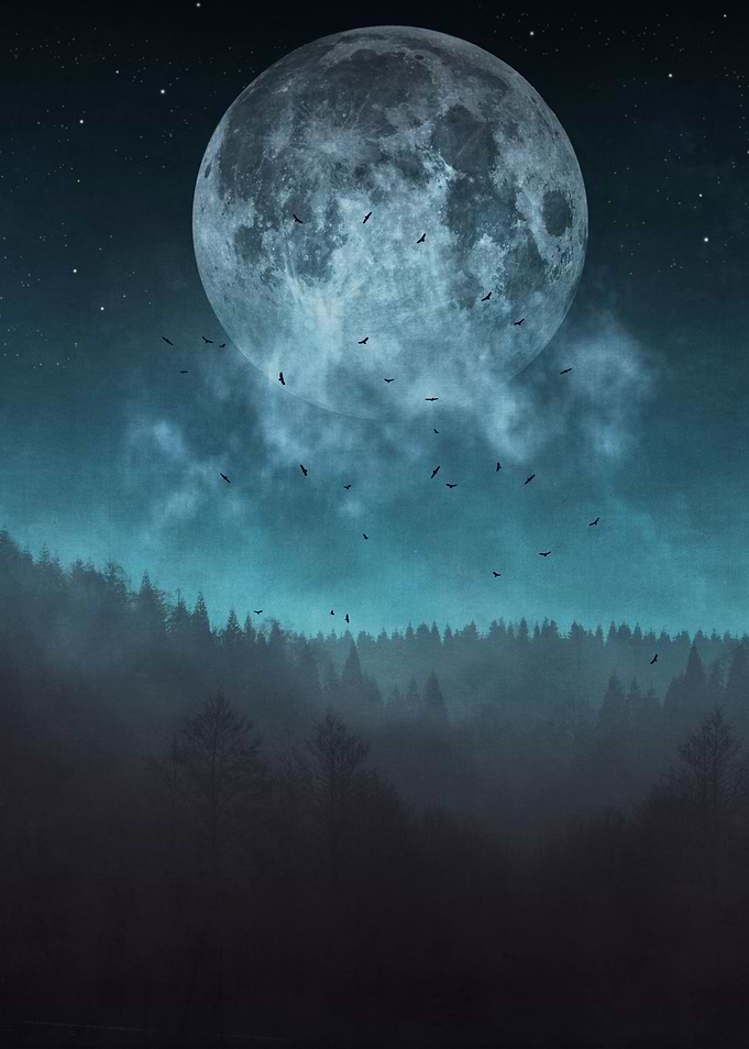 Full moon over woodlands