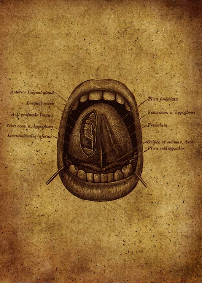 Anatomic47