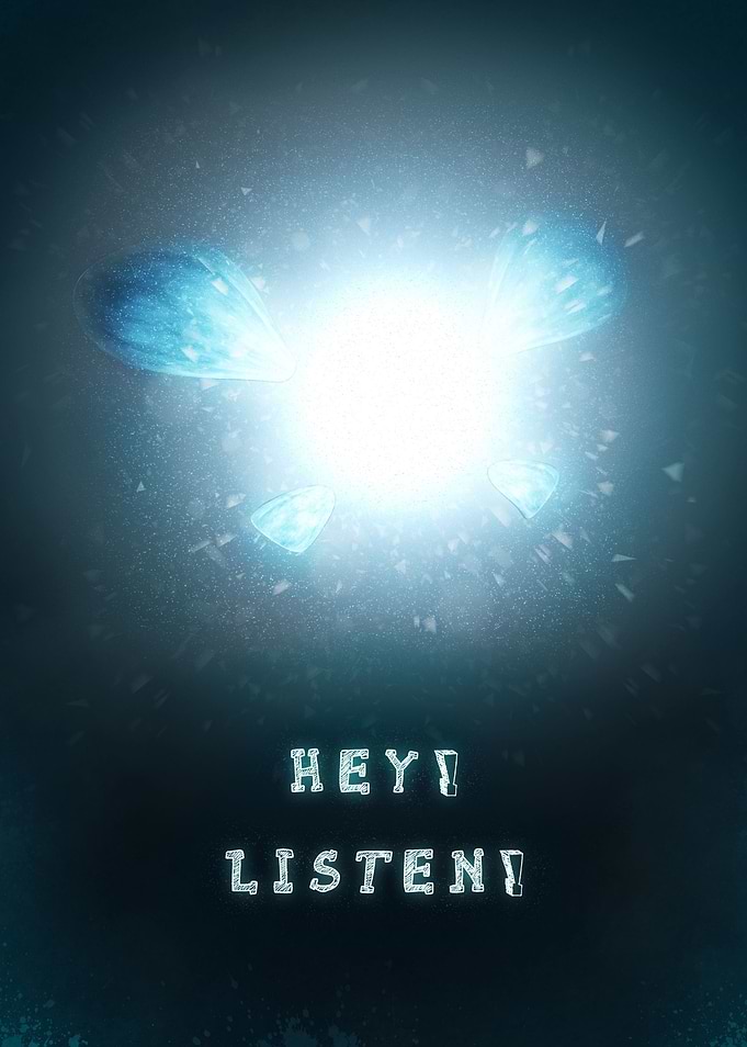 Navi