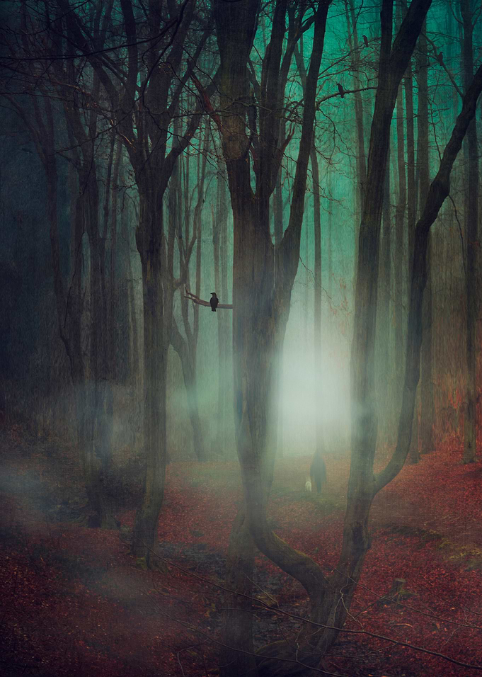 twilight forest