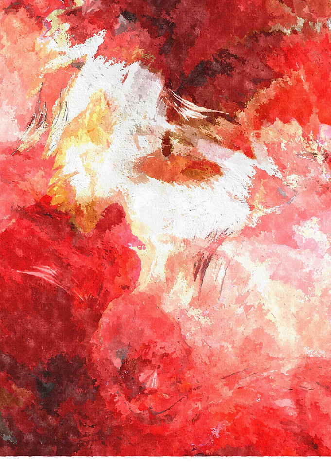 abstract poppy field