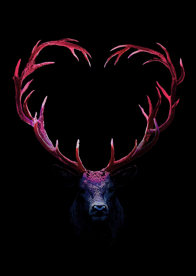 I LOVE U DEER