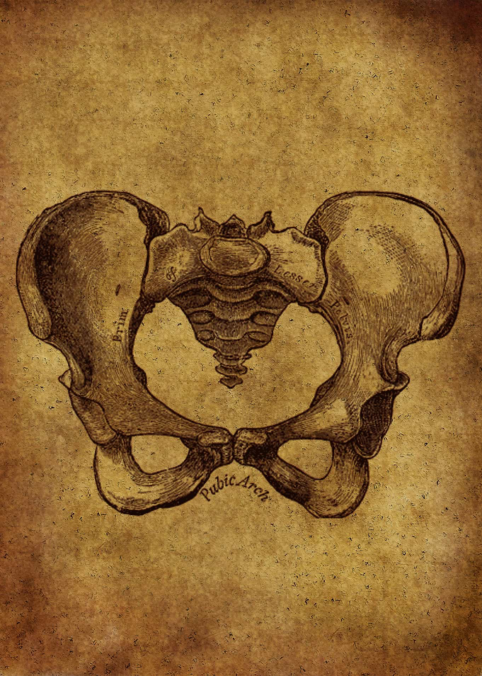 Anatomic57