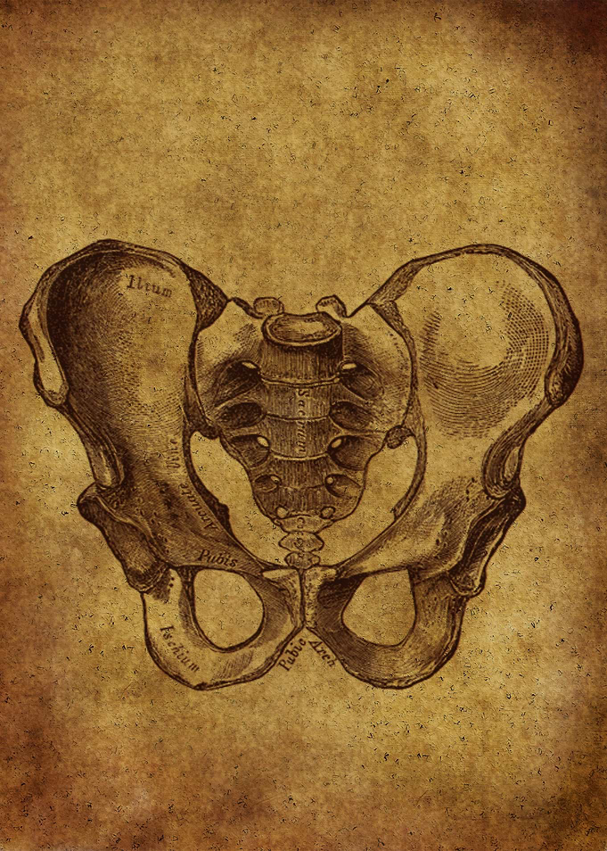 Anatomic60