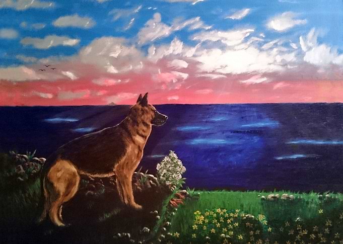 Dog looking at sea