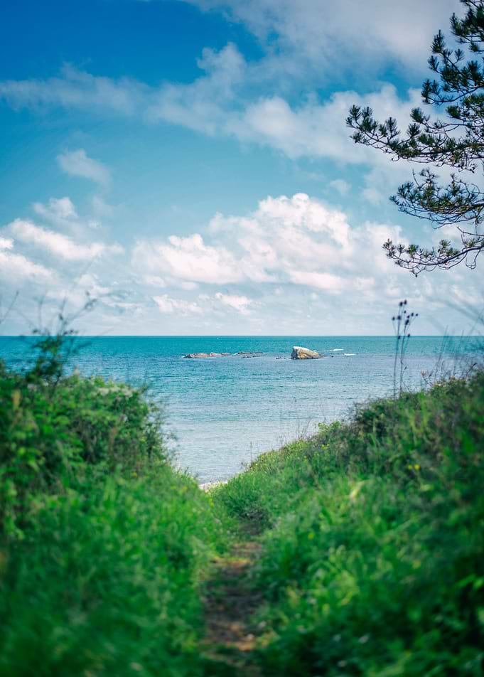 Summer walk