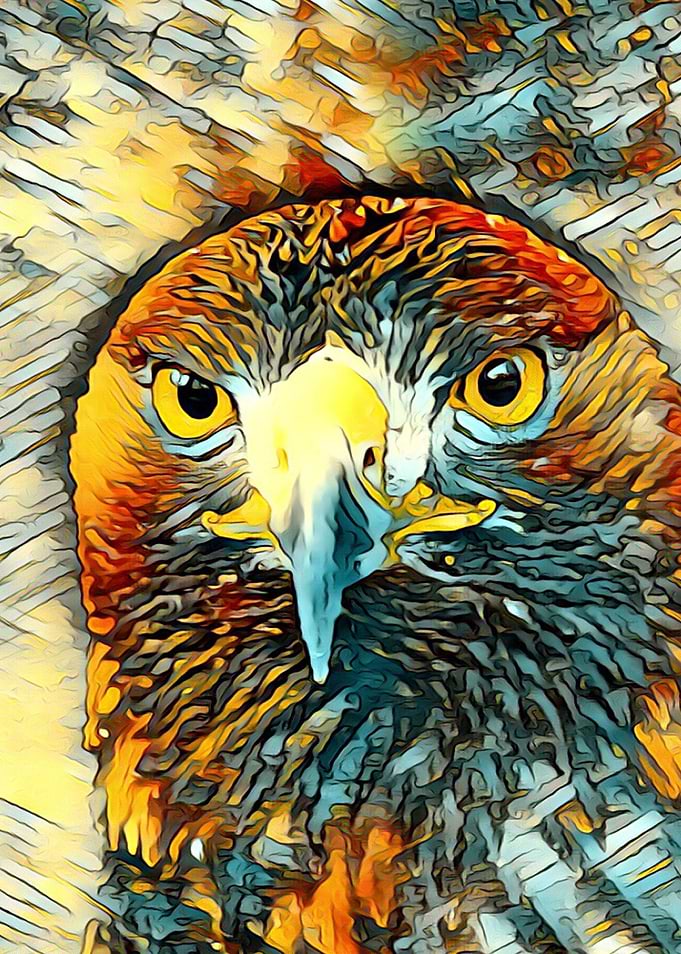 AnimalArt Eagle 002