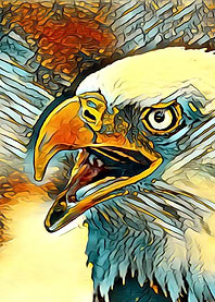 AnimalArt Eagle 001