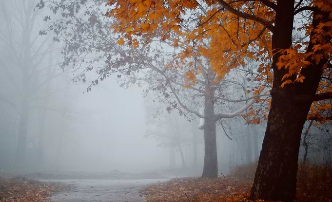 Moody park