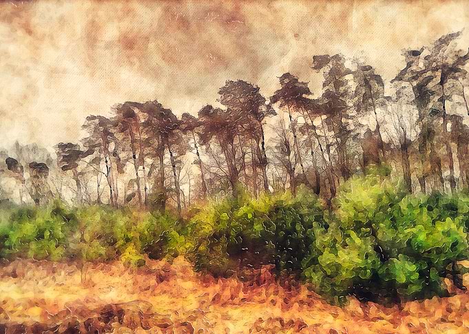 trees