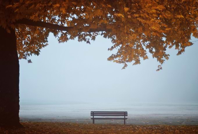 Lonely bench for calm evenings.