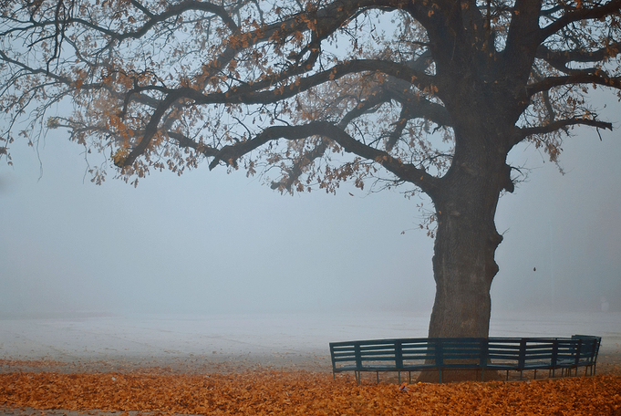 Big bench for good friendly gatherings