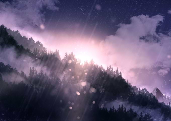 Forest