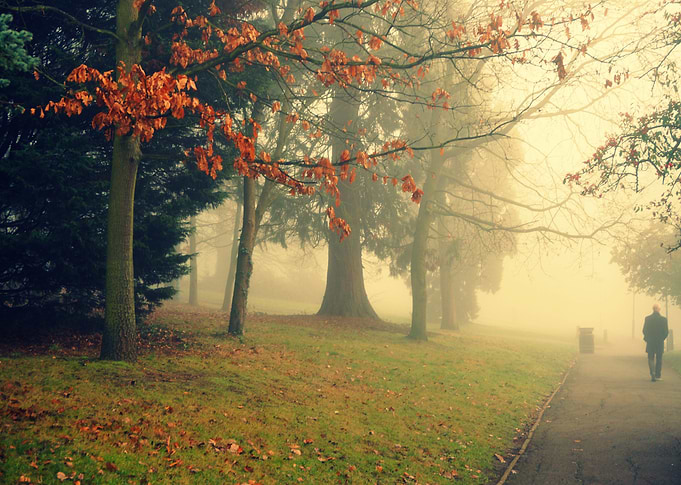 foggy day at alexandra palace in london