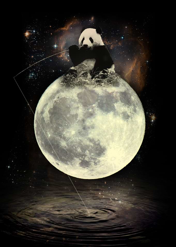 Fishing Panda