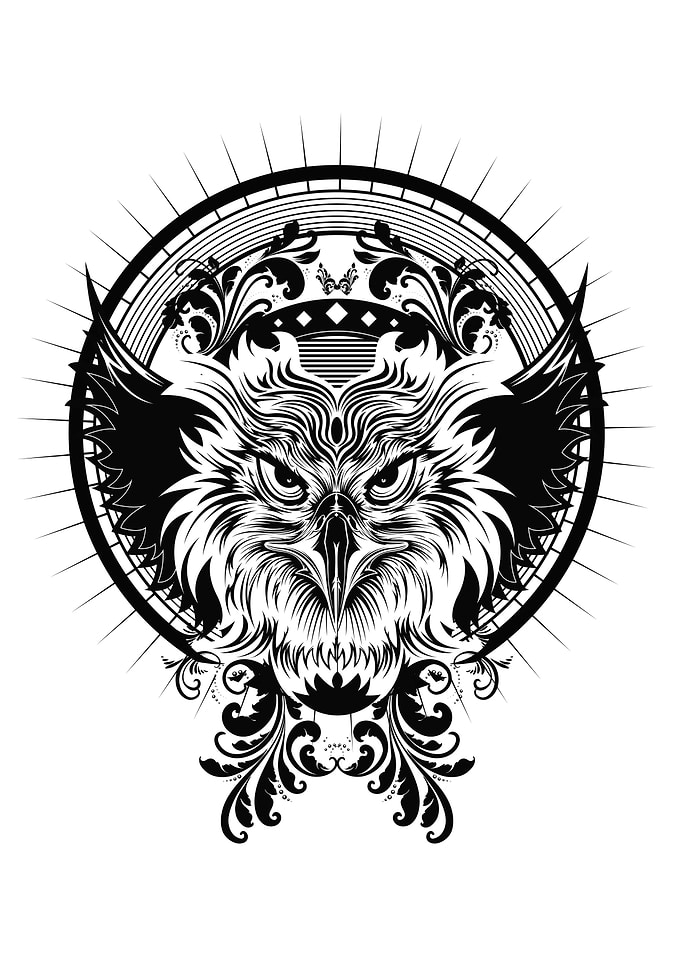 'Eagle Fighter'