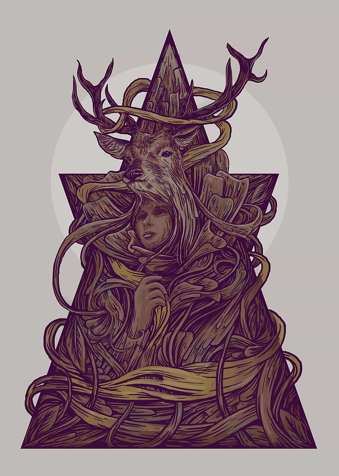 Beautiful deer