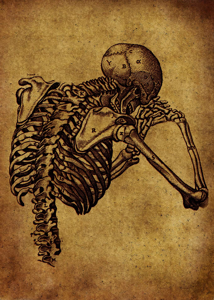 Anatomic76
