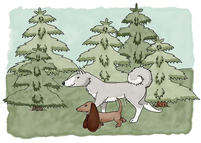 Lunar and Tiril is going on a Journey.