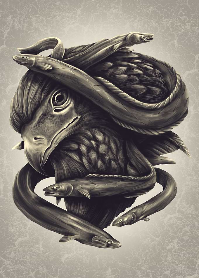 Predator and Prey