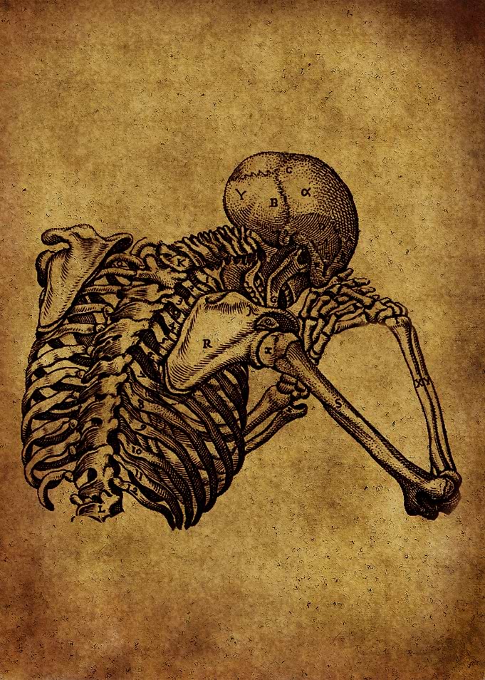 Anatomic74