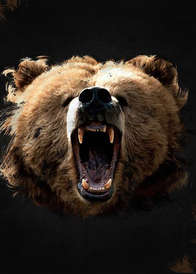 Bear