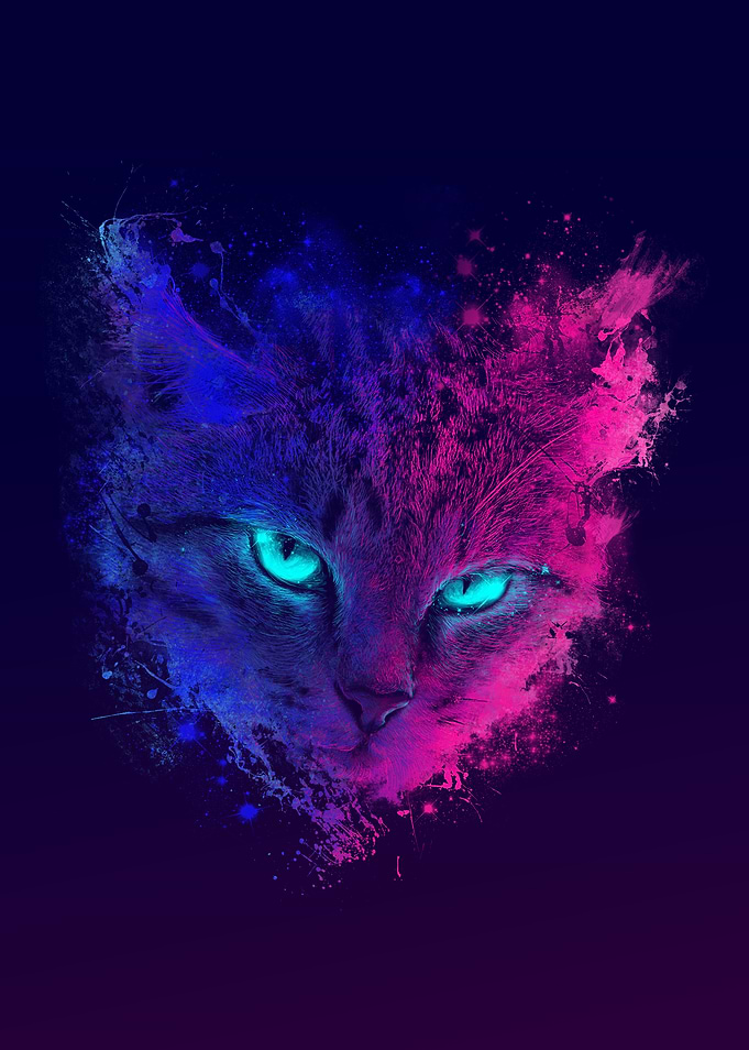 Space Gaze