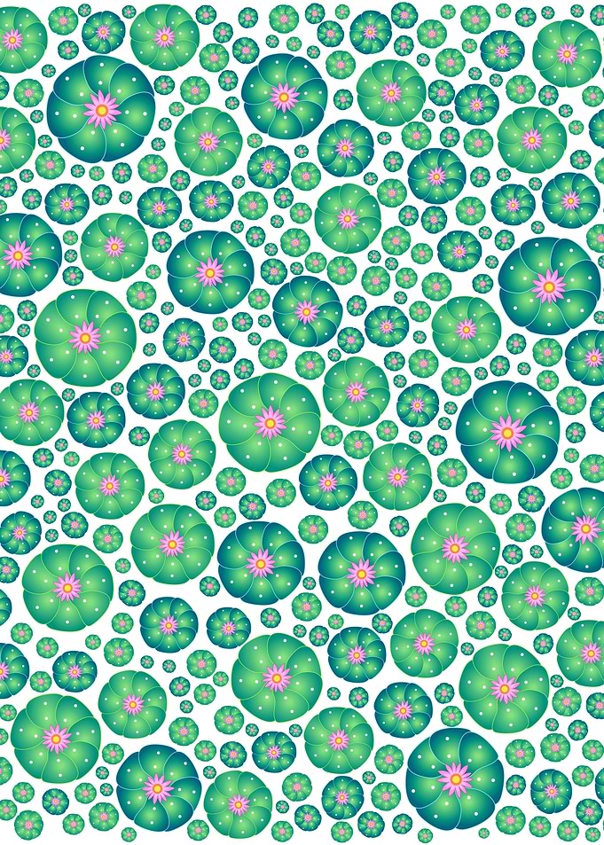 Digital illustration or drawing of a peyote cactus plan ...