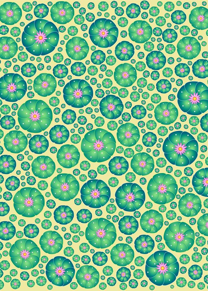 Digital illustration of a peyote cactus plant pattern