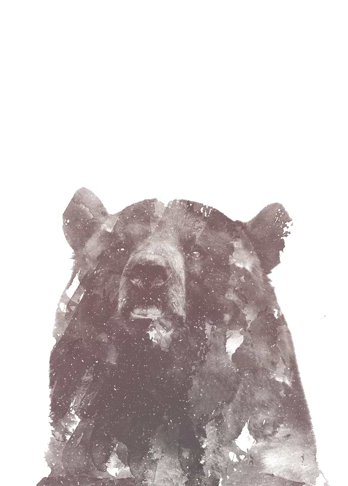 Winter Bear