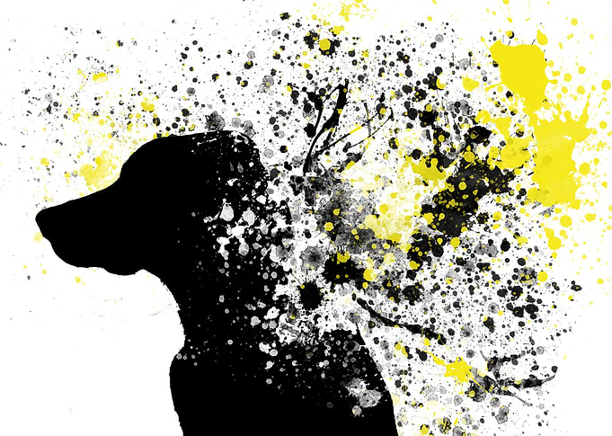 Dogs and paint