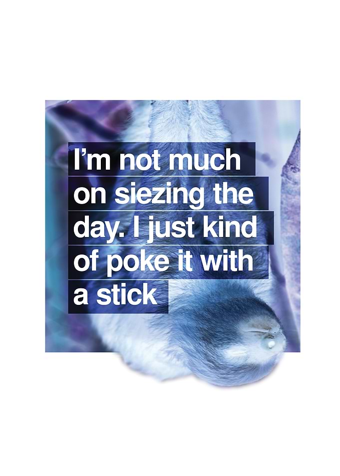 For those who aren't all about the Carpe Diem