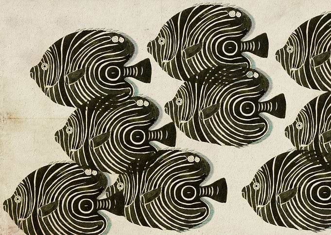 Shoal of BlackFish