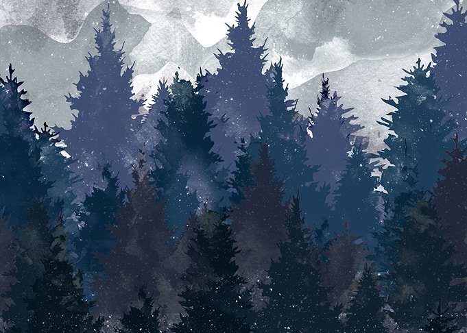 winter i will never forget you
