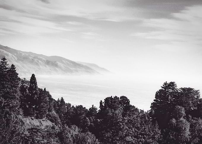 Beautiful ocean view with forest front view at Big Sur, ...