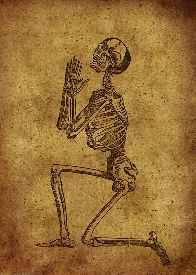 Anatomic81