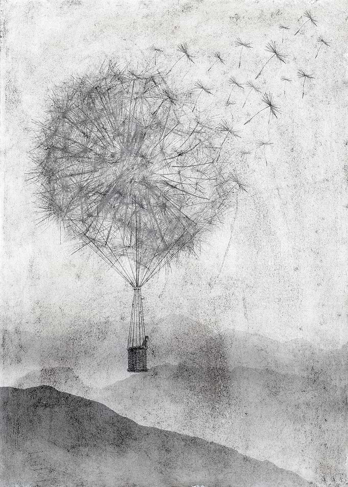 Dandelion Daydream