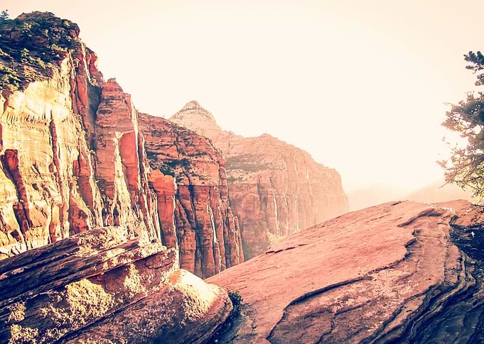 At Zion national park, USA in summer