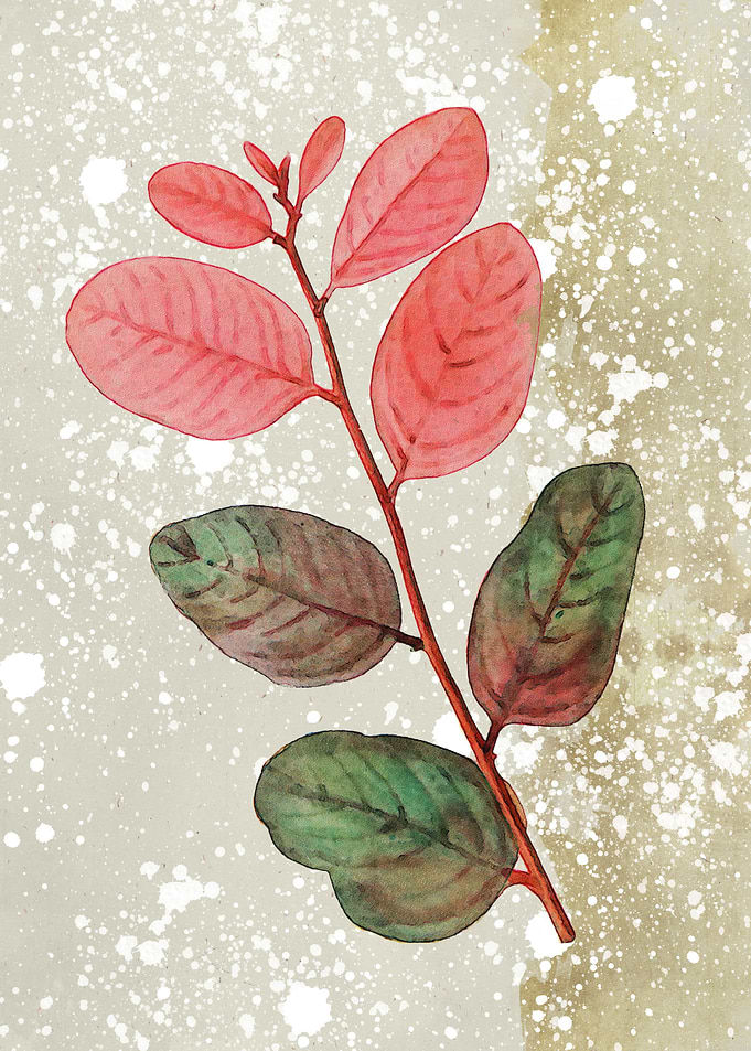 A branch with pink and green leaves