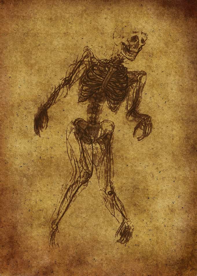 Anatomic82