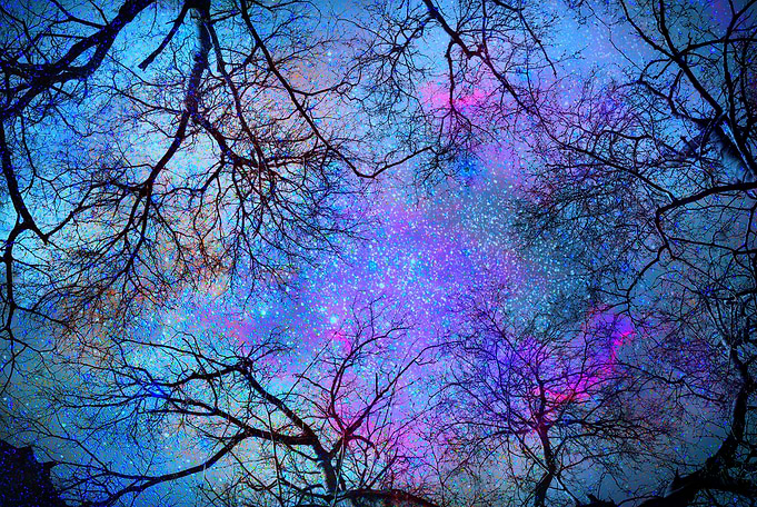 Sky dreams. Serial. Blue Forest dfreams