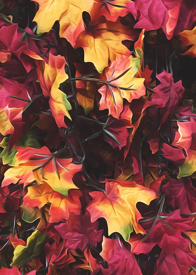 maple leaves texture background in autumn season