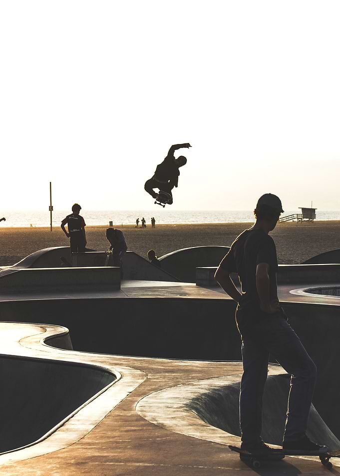 Photograph taken by me against a sunset at Venice Beach ...