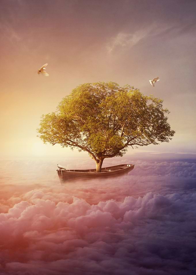 Dreamland