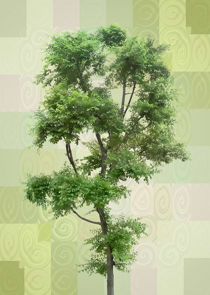 retro green nature 4