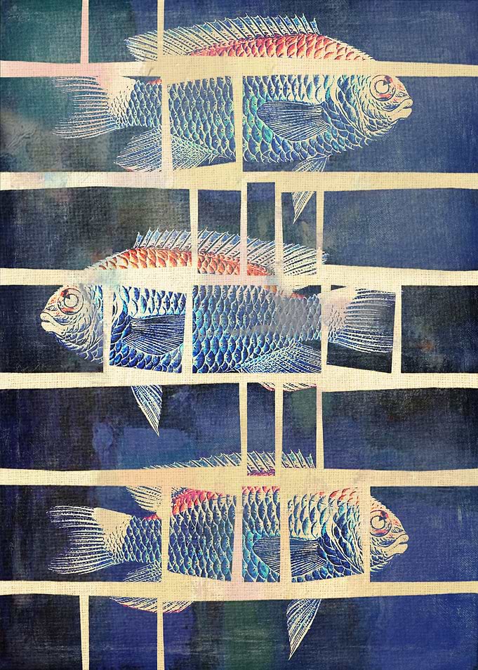 Fish Under Strong Radiation 6
