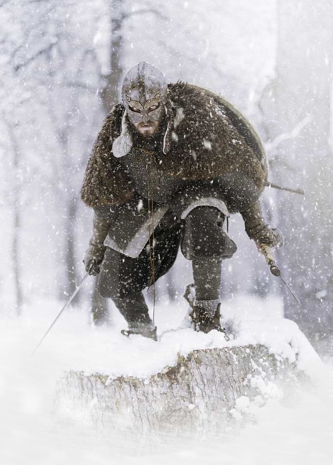 Viking warrior