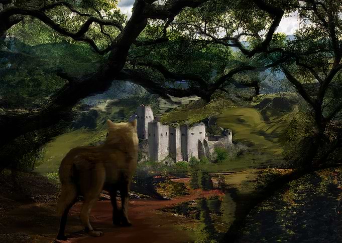 Wolf and a castle