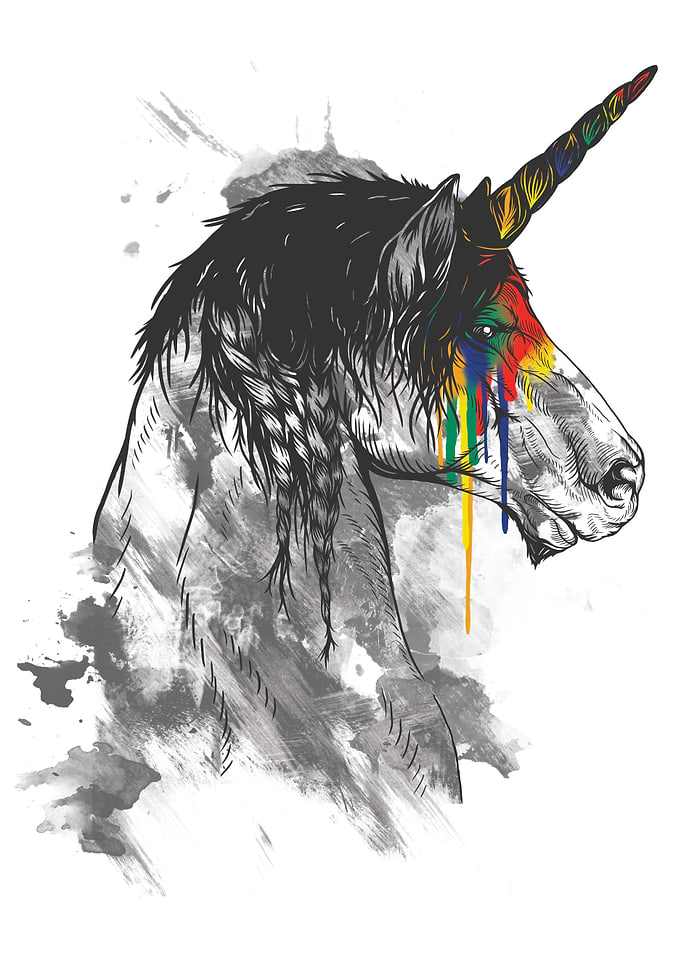 Braided Unicorn