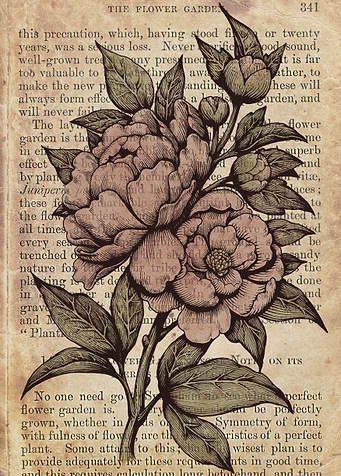 Botanical peonies illustration by Medusa Dollmaker, edi ...